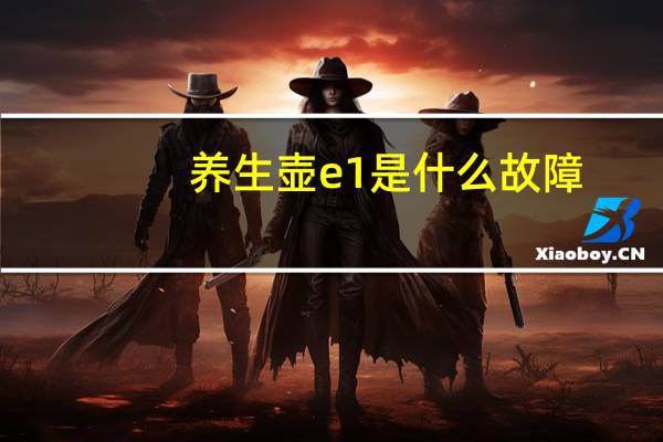 养生壶e1是什么故障
