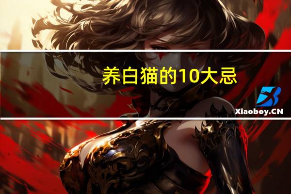 养白猫的10大忌