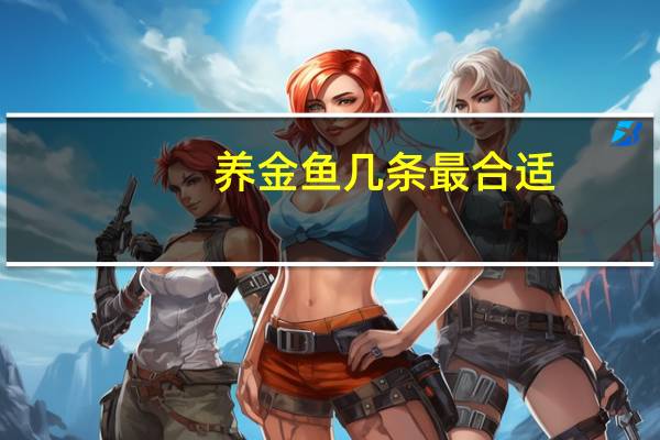 养金鱼几条最合适