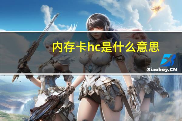 内存卡hc是什么意思