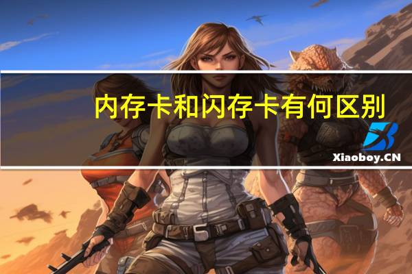 内存卡和闪存卡有何区别