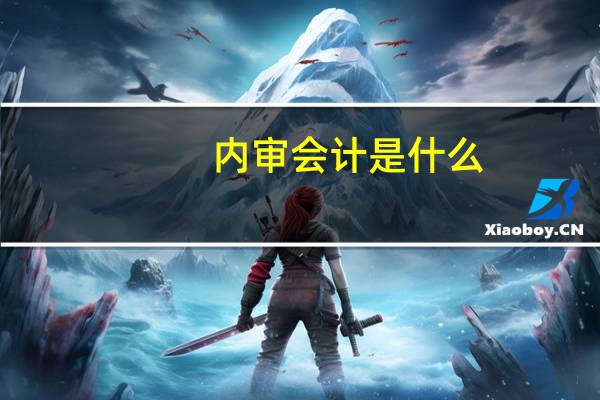 内审会计是什么