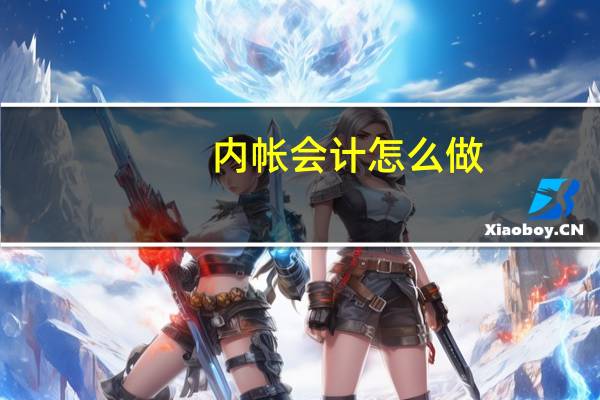 内帐会计怎么做