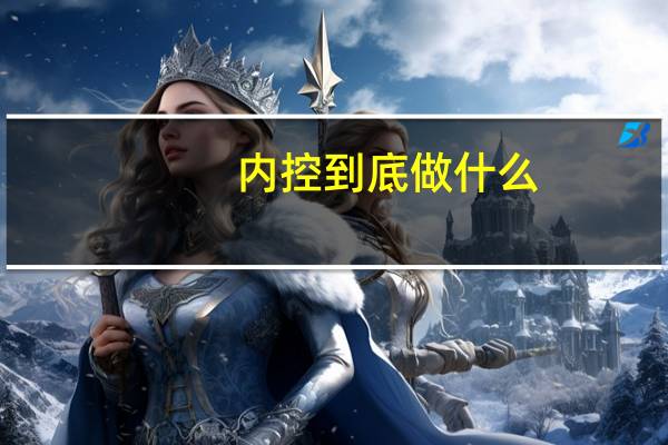 内控到底做什么