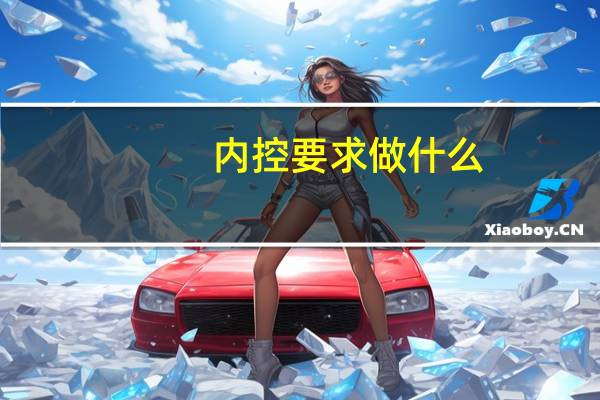 内控要求做什么