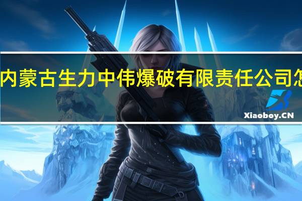 内蒙古生力中伟爆破有限责任公司怎么样
