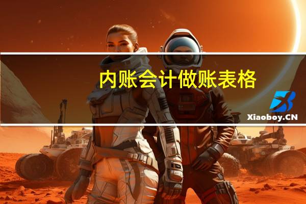 内账会计做账表格