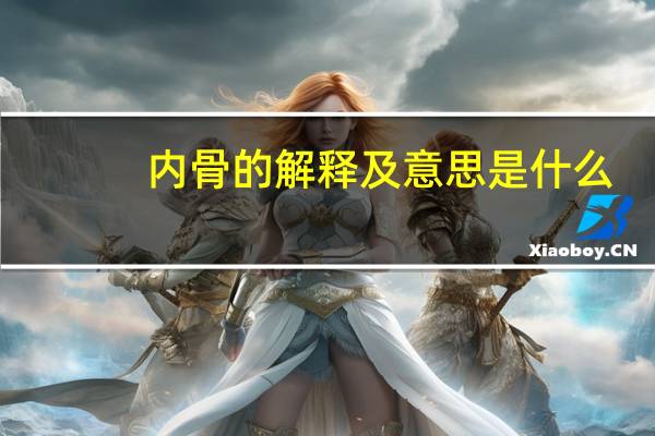 内骨的解释及意思是什么