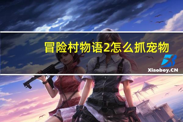 冒险村物语2怎么抓宠物