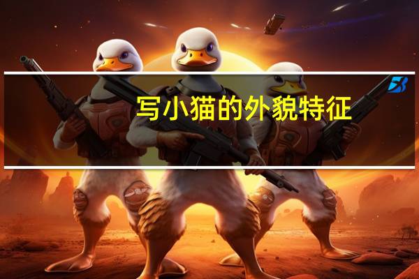 写小猫的外貌特征