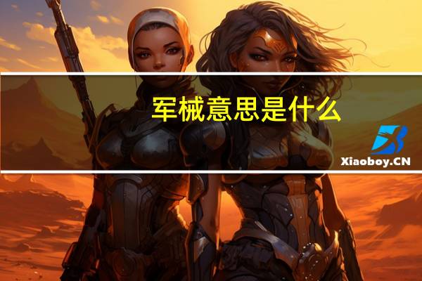 军械意思是什么