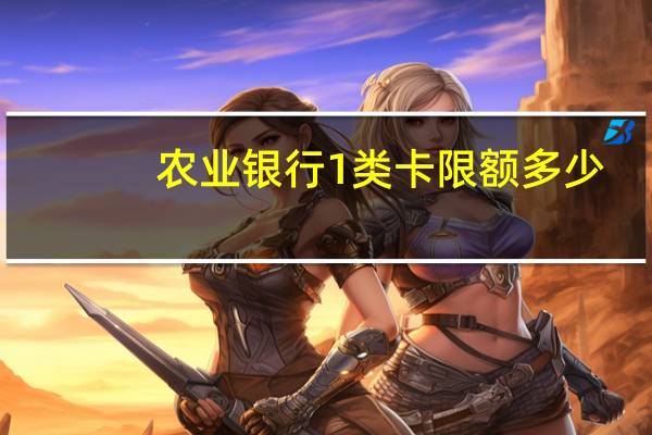 农业银行1类卡限额多少