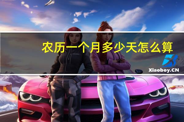 农历一个月多少天怎么算