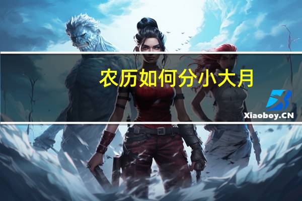 农历如何分小大月