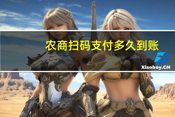 农商扫码支付多久到账
