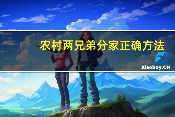 农村两兄弟分家正确方法