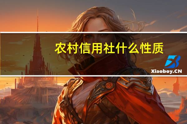 农村信用社什么性质