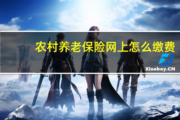 农村养老保险网上怎么缴费