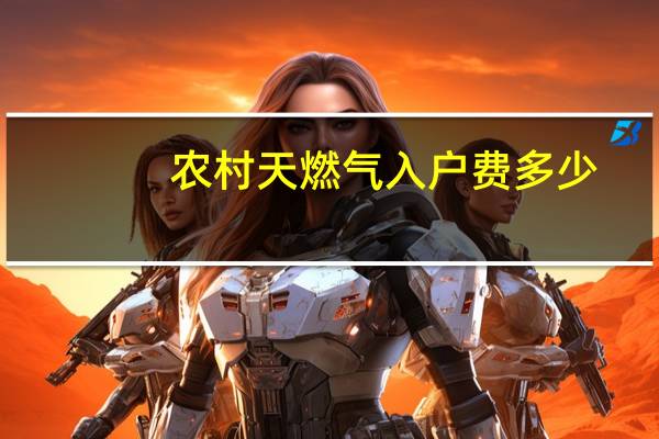 农村天燃气入户费多少