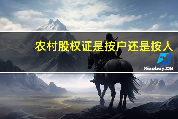农村股权证是按户还是按人