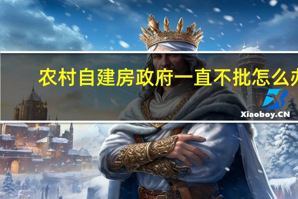 农村自建房政府一直不批怎么办