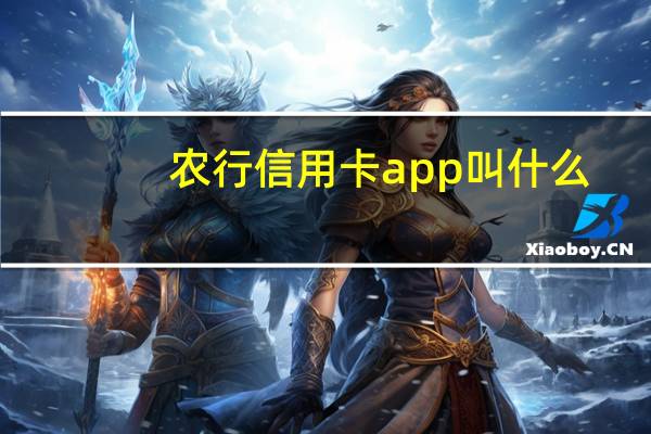 农行信用卡app叫什么