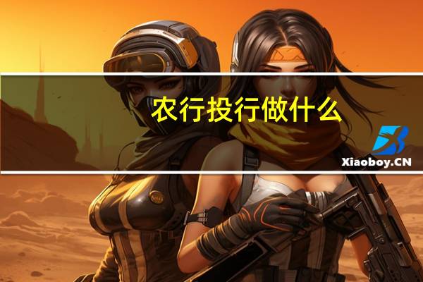 农行投行做什么