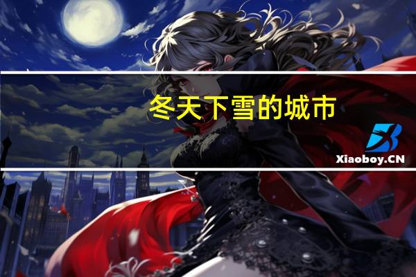 冬天下雪的城市