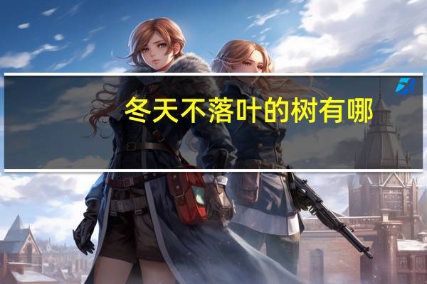 冬天不落叶的树有哪