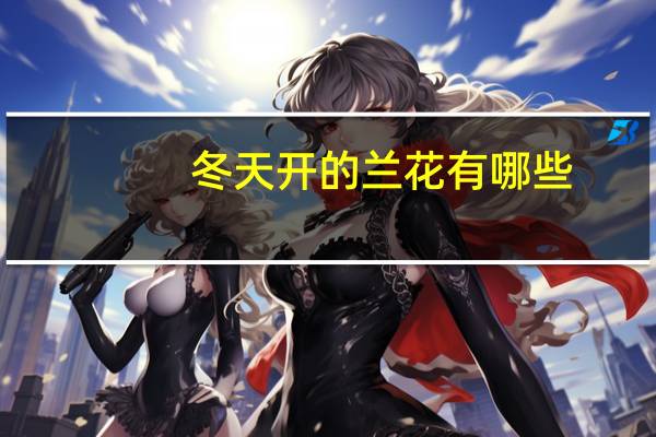 冬天开的兰花有哪些
