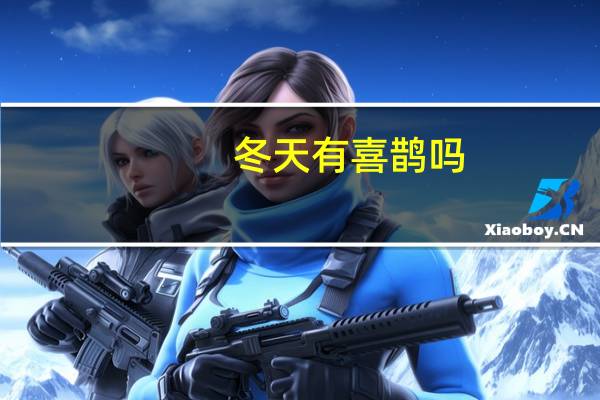 冬天有喜鹊吗