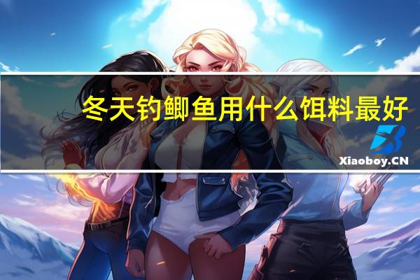 冬天钓鲫鱼用什么饵料最好
