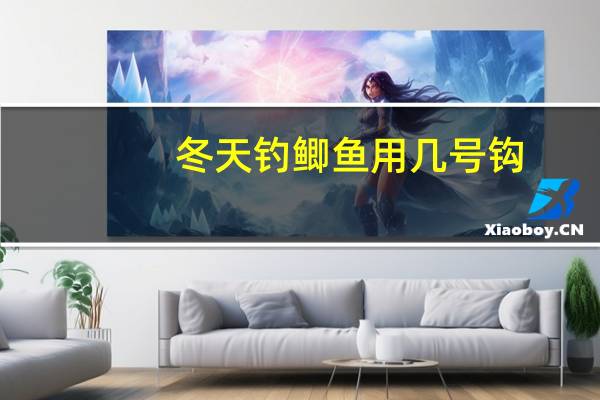 冬天钓鲫鱼用几号钩