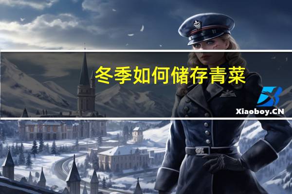 冬季如何储存青菜
