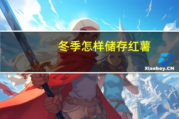 冬季怎样储存红薯