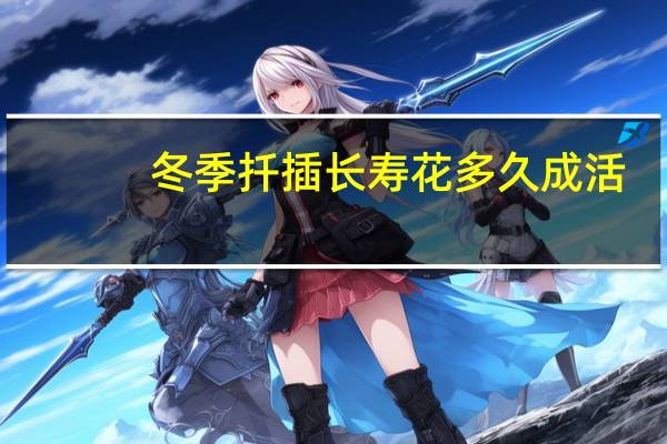 冬季扦插长寿花多久成活