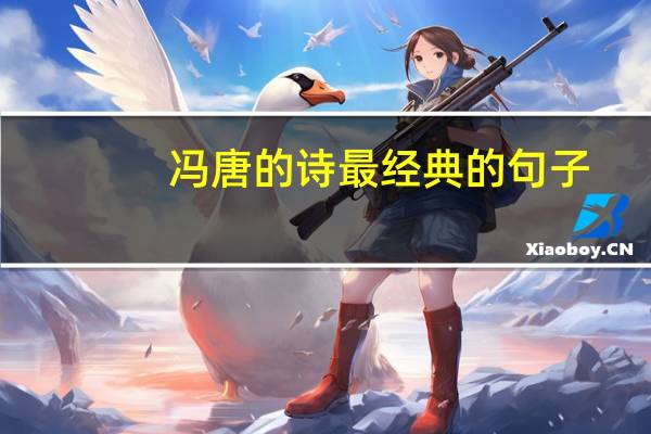 冯唐的诗最经典的句子