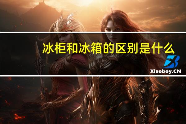 冰柜和冰箱的区别是什么