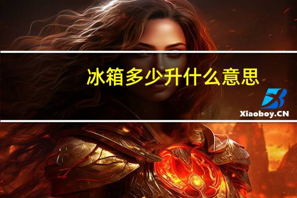 冰箱多少升什么意思