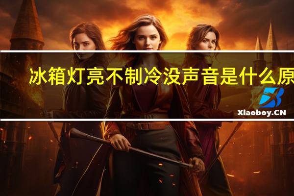冰箱灯亮不制冷没声音是什么原因