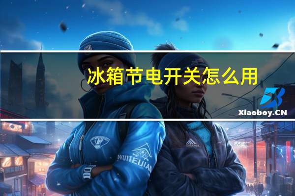 冰箱节电开关怎么用