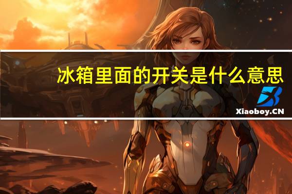 冰箱里面的开关是什么意思