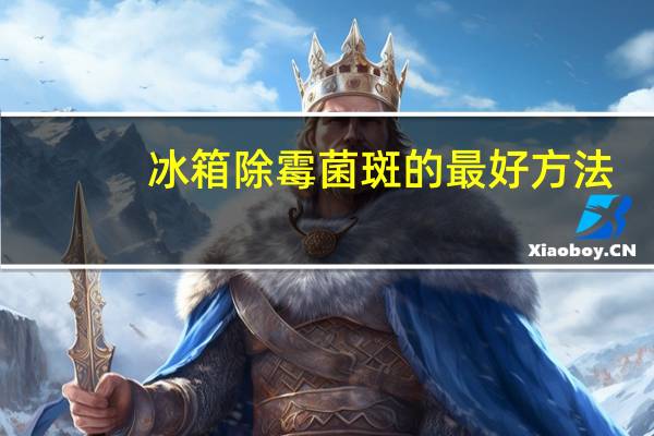 冰箱除霉菌斑的最好方法