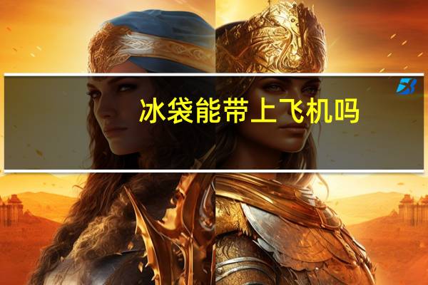 冰袋能带上飞机吗