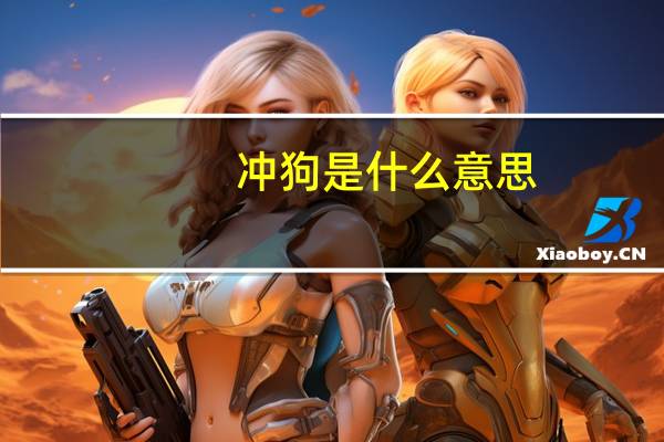 冲狗是什么意思