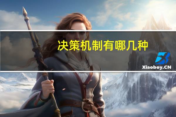 决策机制有哪几种
