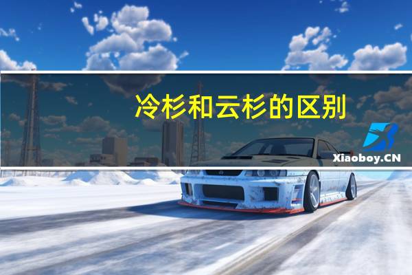 冷杉和云杉的区别