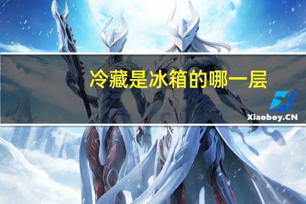冷藏是冰箱的哪一层