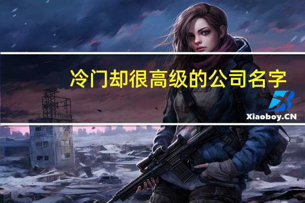 冷门却很高级的公司名字