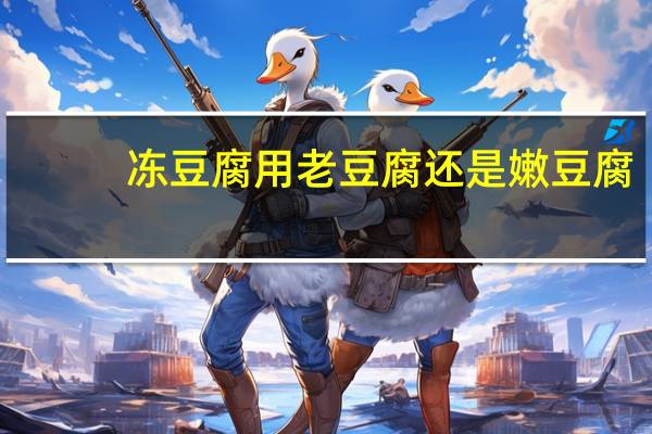 冻豆腐用老豆腐还是嫩豆腐
